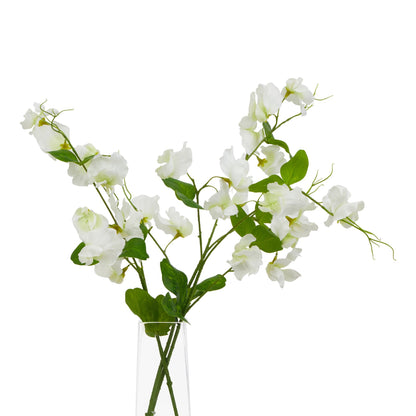 The Natural Garden Collection White Sweetpea Stem