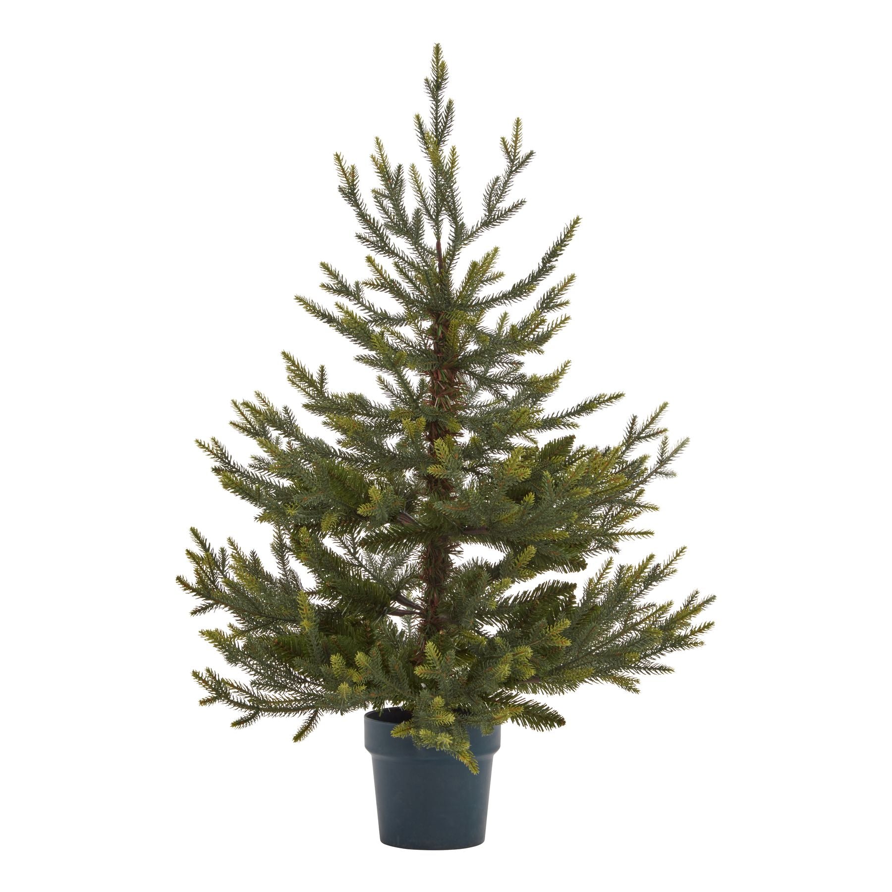 Potted Natural Pine Tree