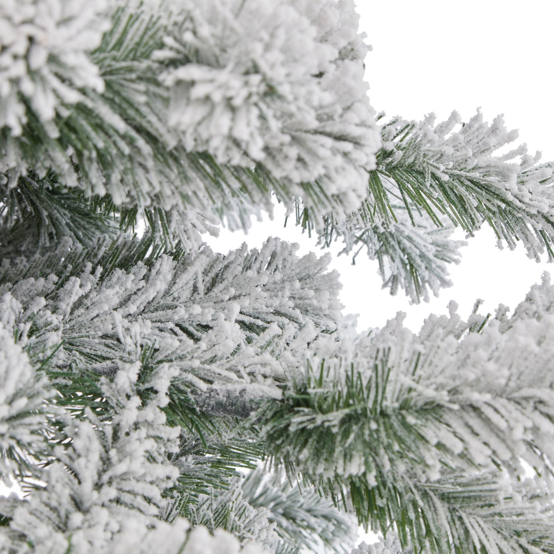 Large Snowy Pine Tree