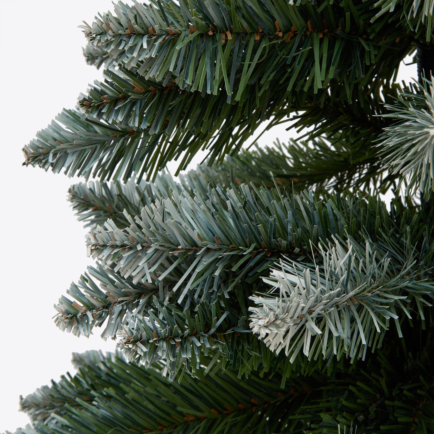 Large Snowy Conifer Tree In Hessian Wrap