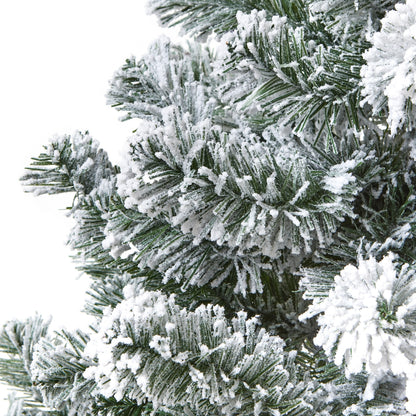 Snowy Pine Tree