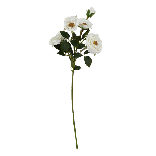 The Natural Garden Collection White Hedge Rose Stem