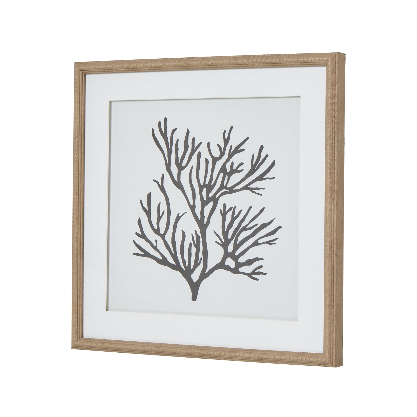 Reef Coral Art Mounted In Beaded Frame