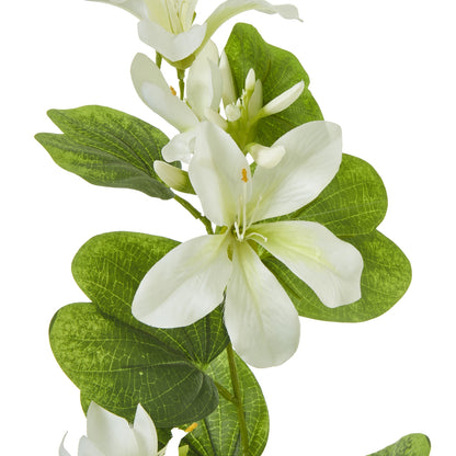 Cream Bauhinia Orchid Spray