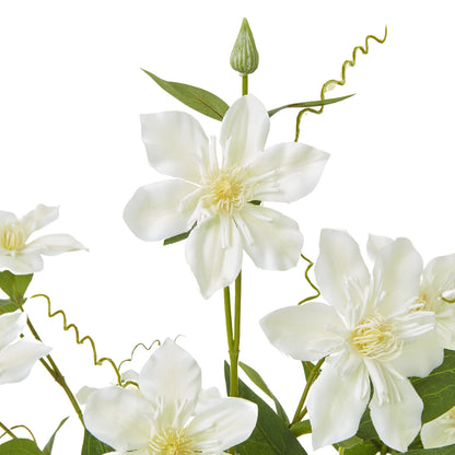 Cream Pearl Clematis Spray