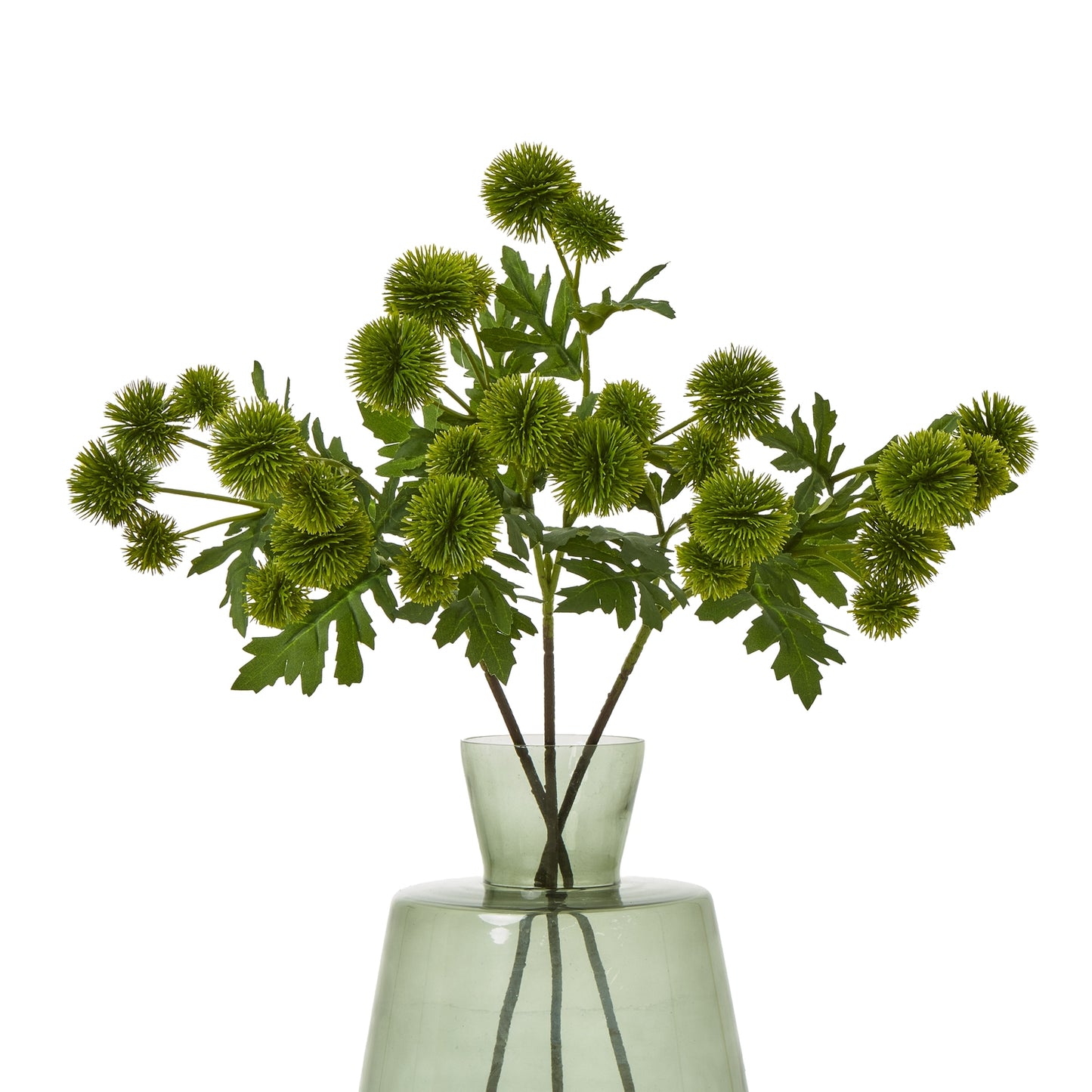 Green Globe Thistle Spray