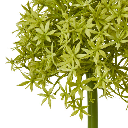 Green Medium Allium Stem