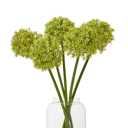 Green Medium Allium Stem