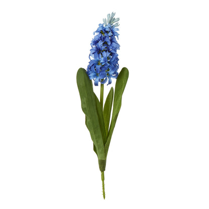 Blue Hyacinth Stem