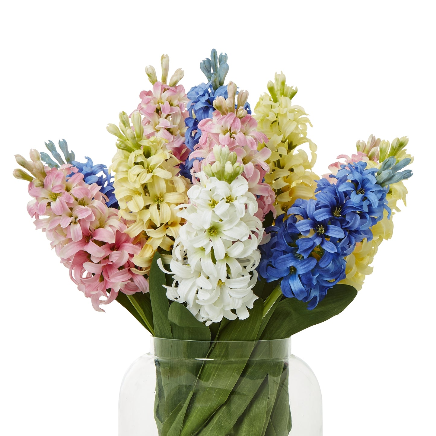 White Hyacinth Stem