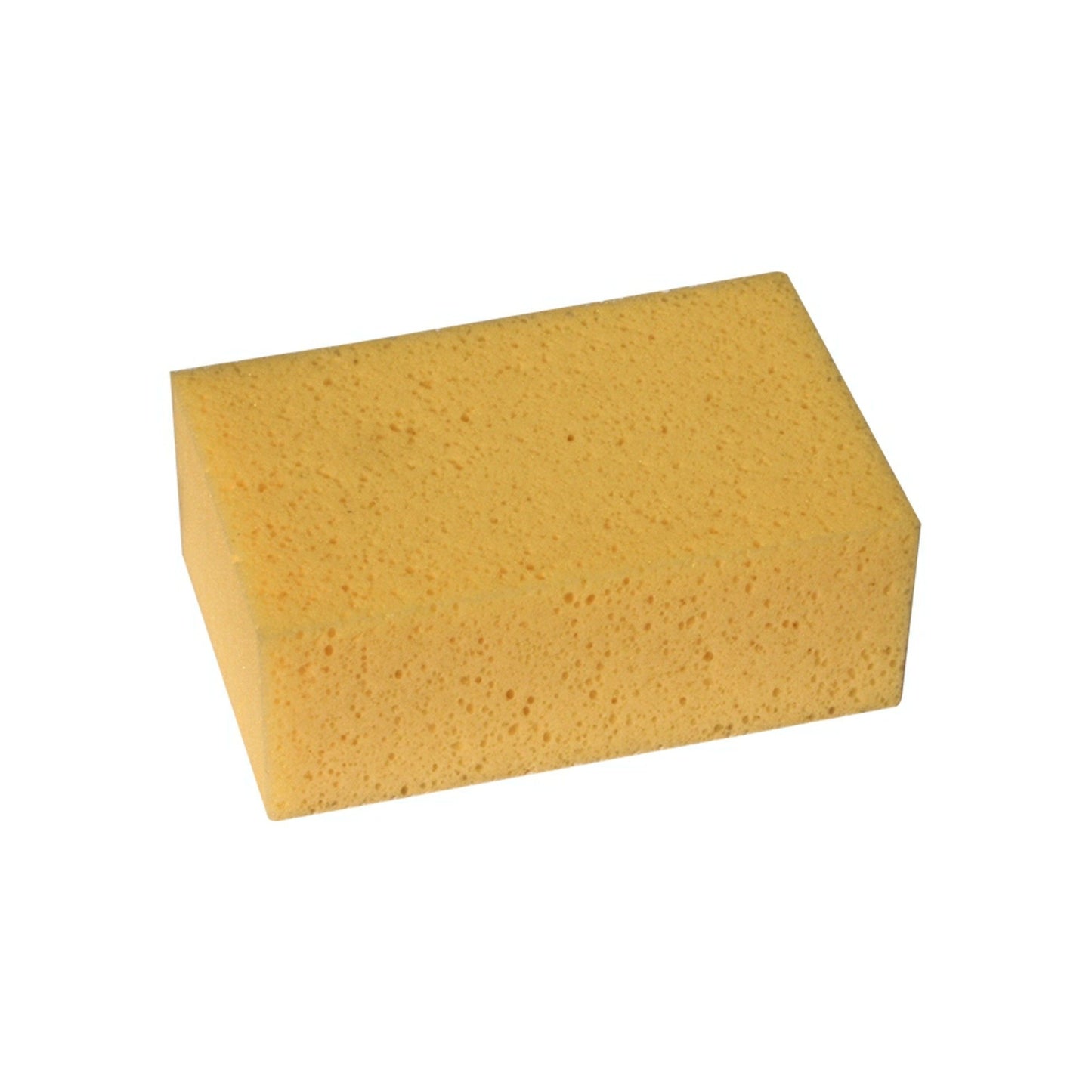 Pro Hydro Sponge - 160 x 110 x 55mm