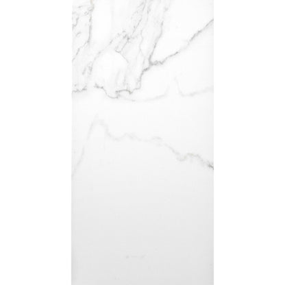 Palatina 30x60 Matt Marble Effect Tile