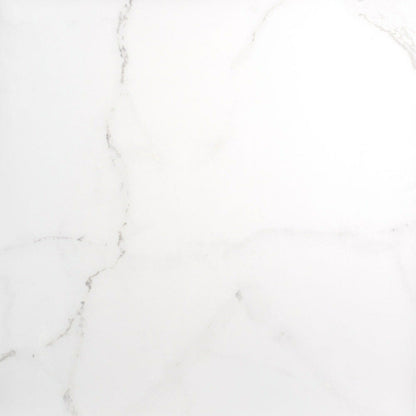 Palatina 60.5x60.5 Matt Marble Effect Tile