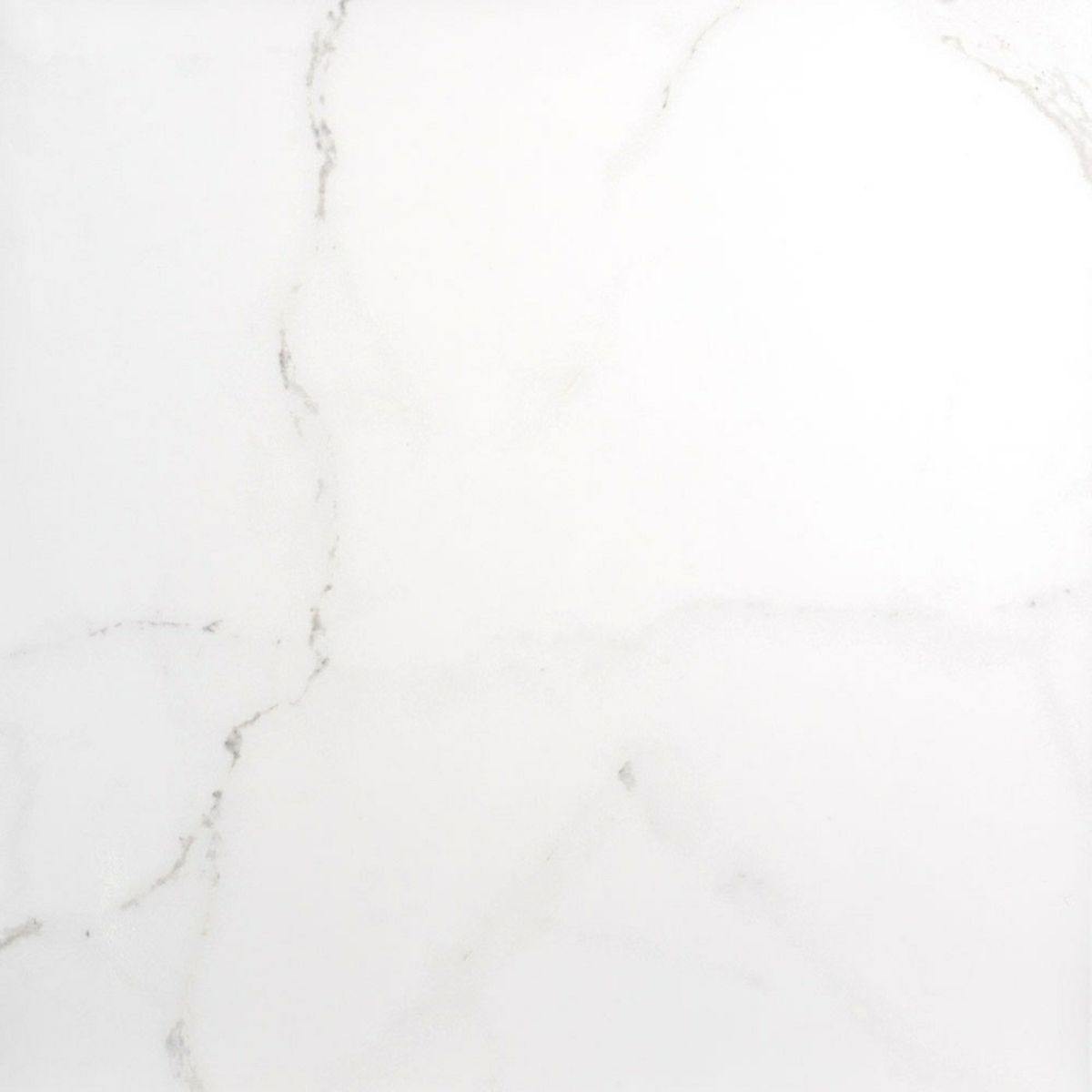 Sample - Palatina 60.5x60.5 Matt Marble Effect Tile