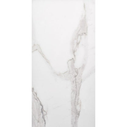 Sample - Palatina 30x60 Gloss Marble Effect Tile