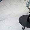 Sample - Palatina 60.5x60.5 Matt Marble Effect Tile