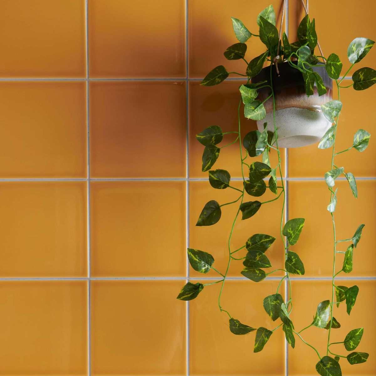 Sample - Modern Heritage Dijon Tiles