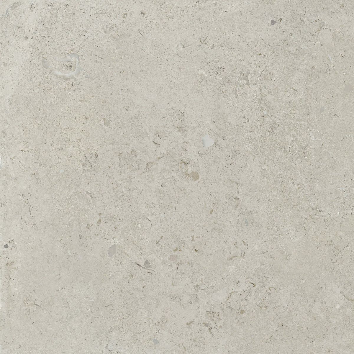 Sample - Coralina Blanco Travertine Effect Tiles 90x90