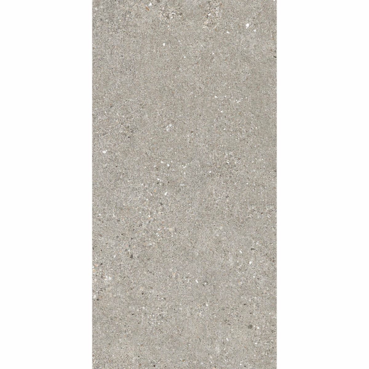 Sample - Manhattan Grey Stone Effect Tiles 120X60