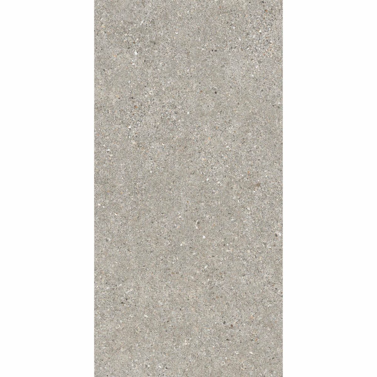 Sample - Manhattan Grey Stone Effect Tiles 120X60