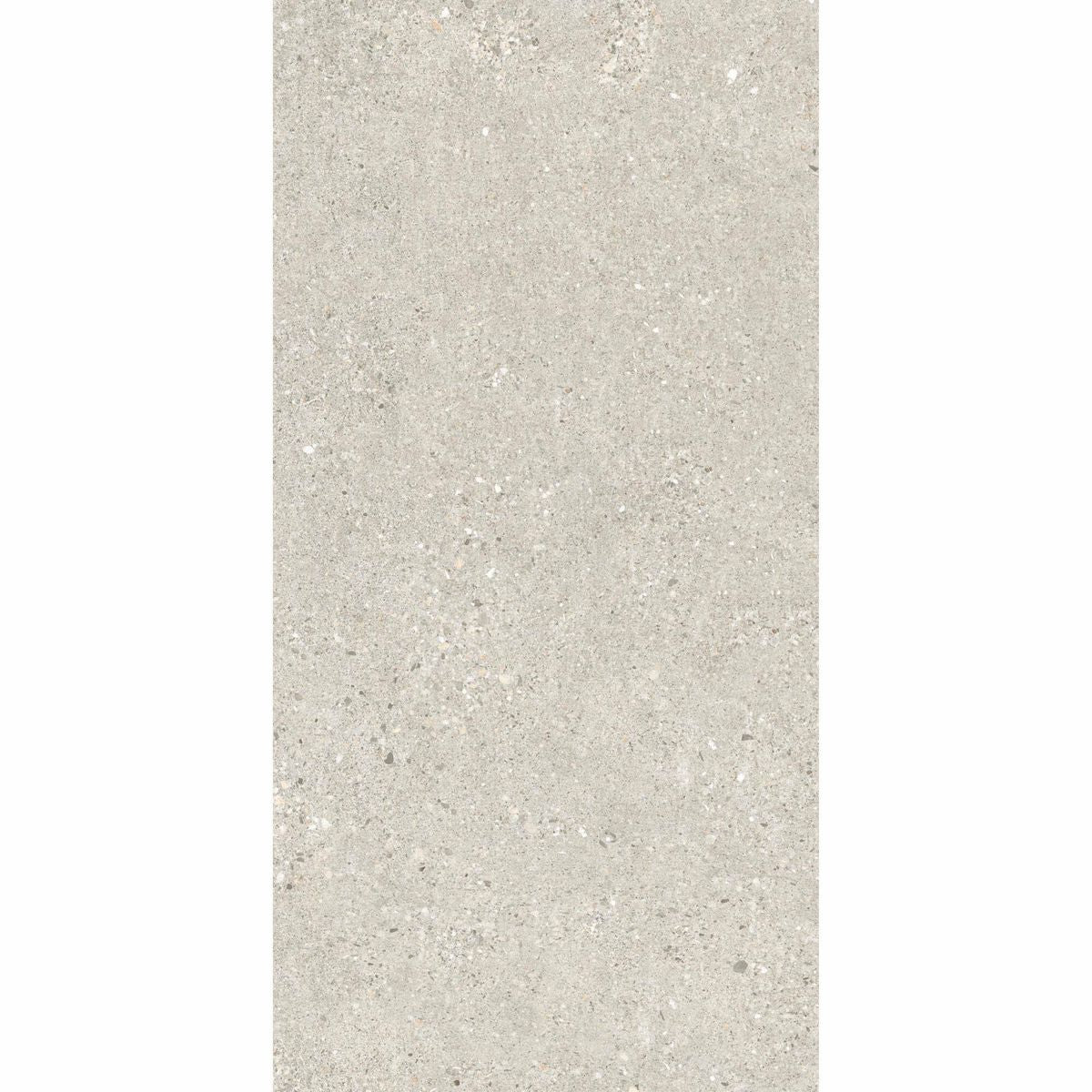 Sample - Manhattan Silver Stone Effect Tiles 120X60
