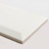 Sample - Ingot Blanco Matt