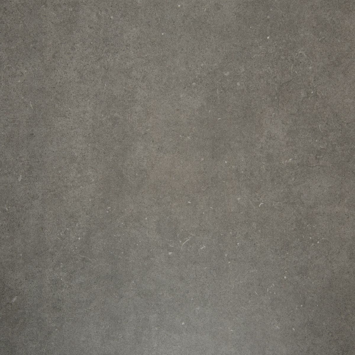 Loft Concrete Dark Grey Concrete Effect Tiles