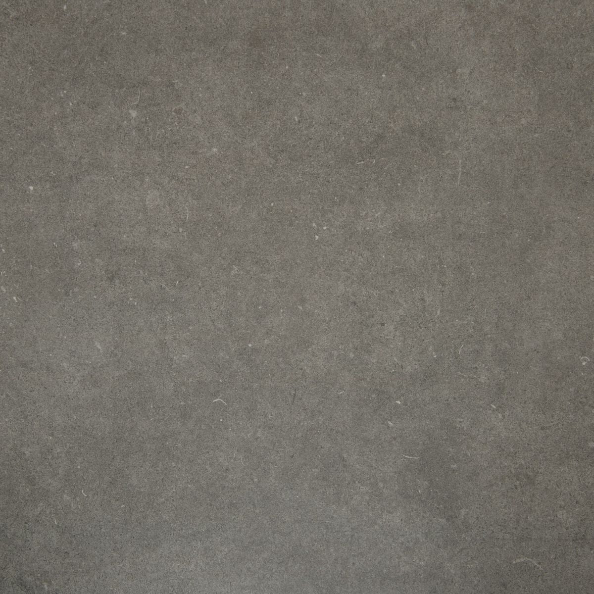 Loft Concrete Dark Grey Concrete Effect Tiles
