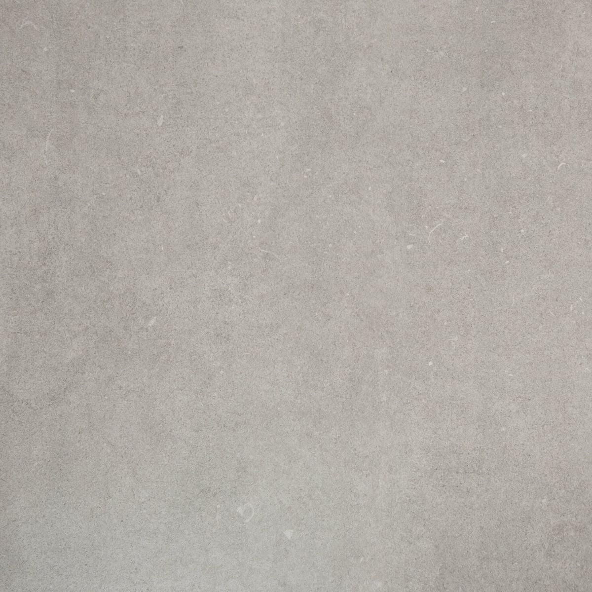 Sample - Loft Concrete Silver Concrete Effect Tiles