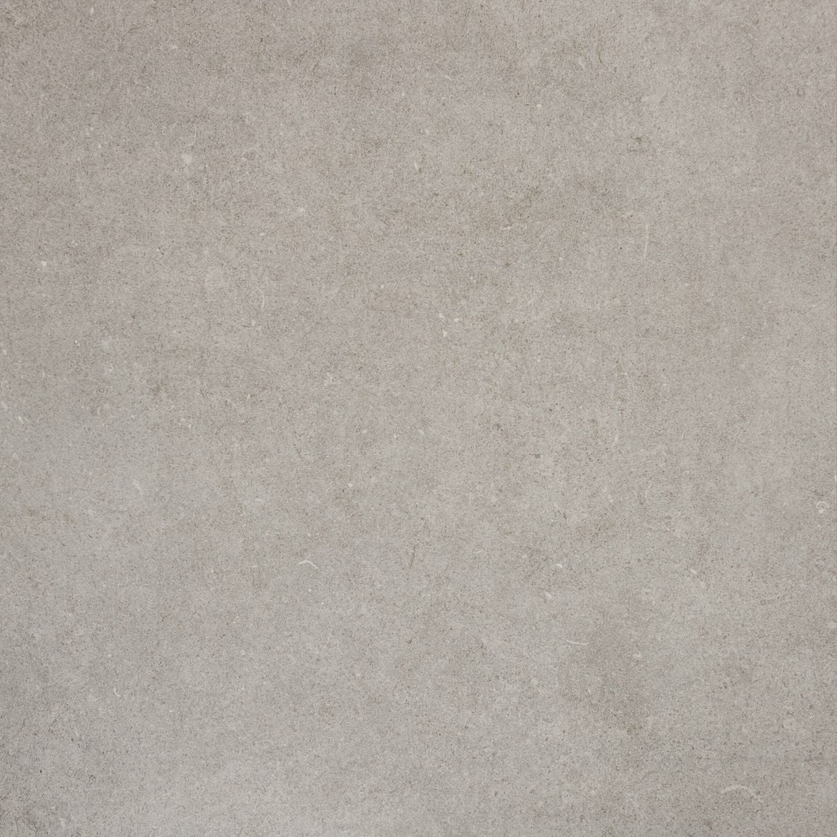 Loft Concrete Silver Concrete Effect Tiles