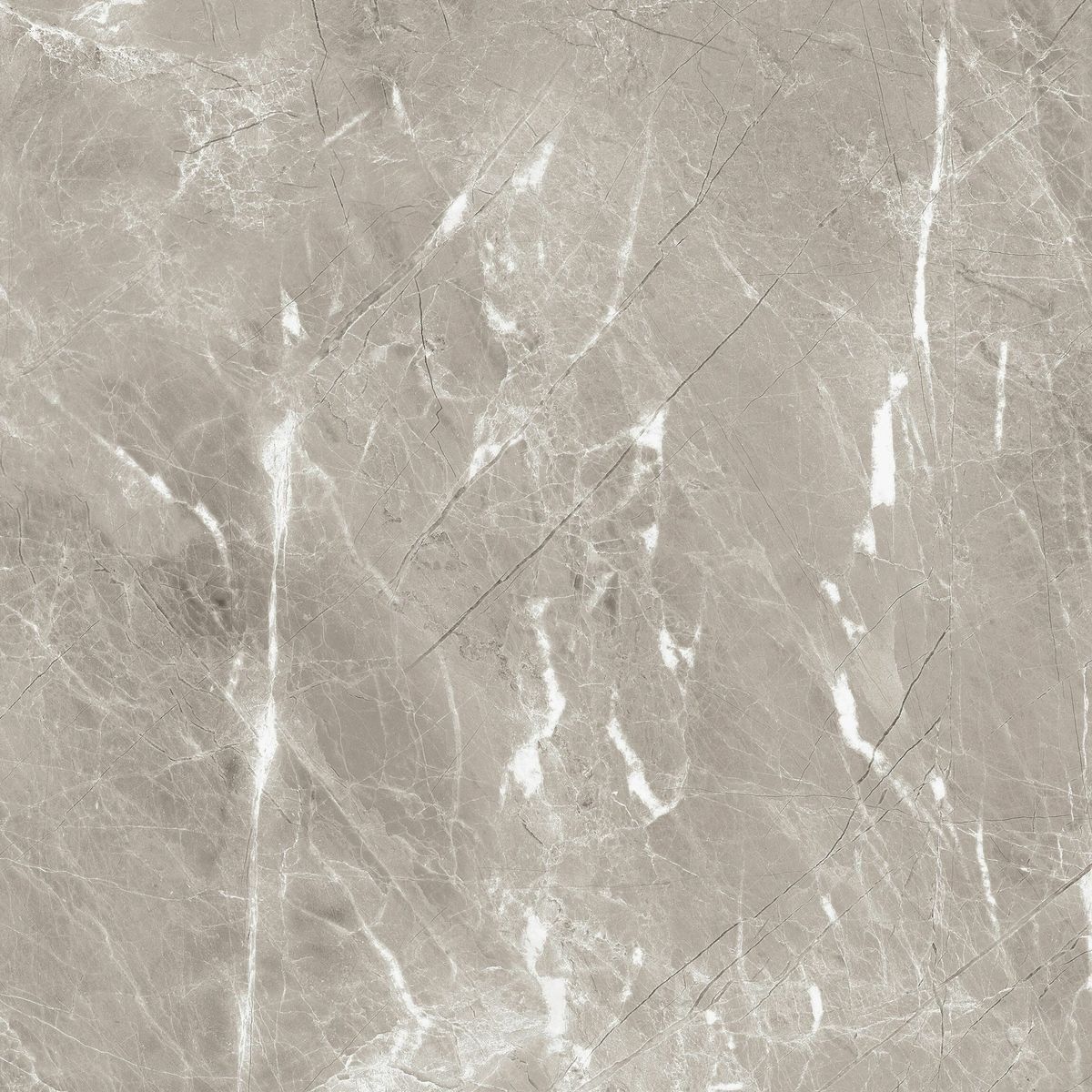 Sample - Makrana Breccia Grey Matt Wall and Floor Tiles