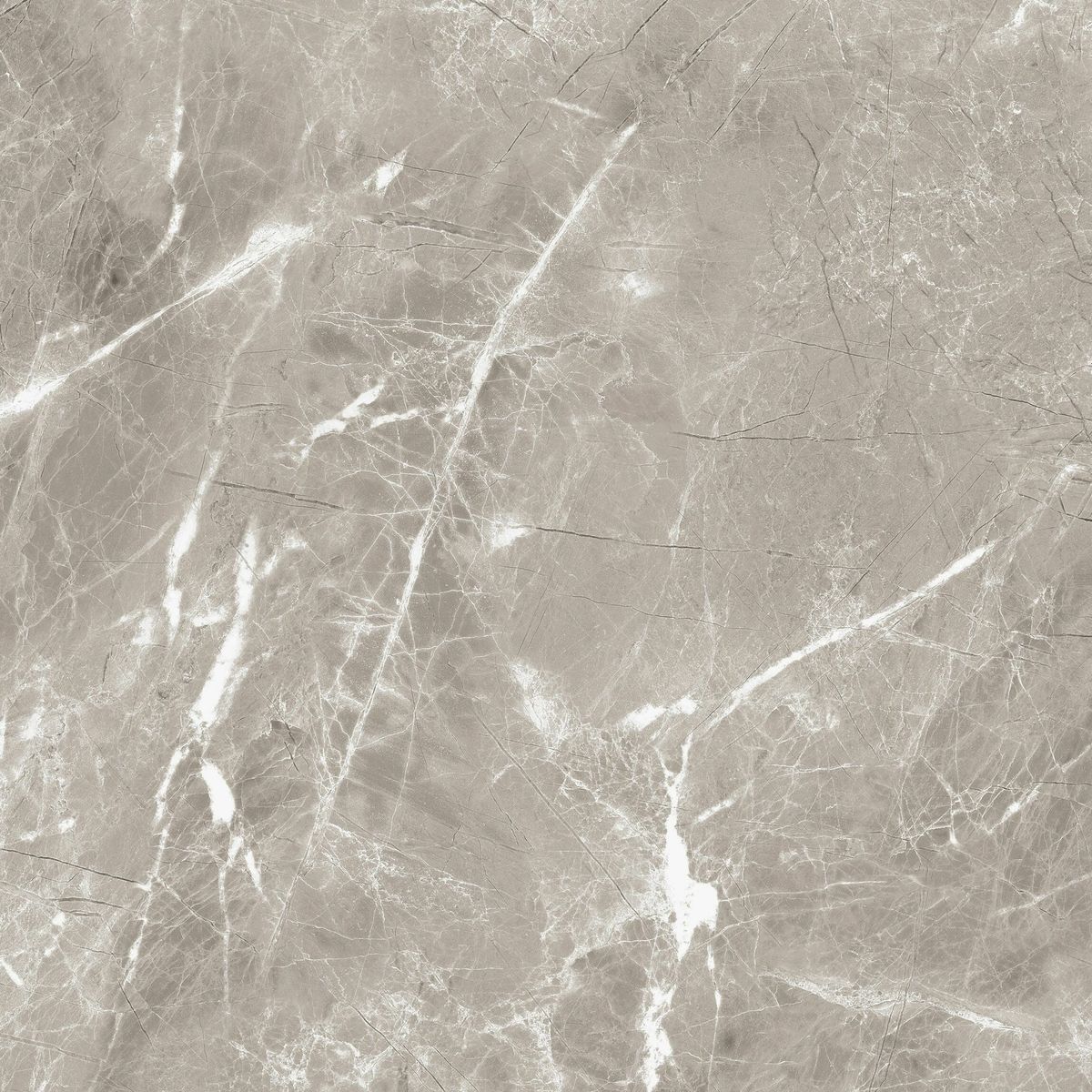 Sample - Makrana Breccia Grey Matt Wall and Floor Tiles