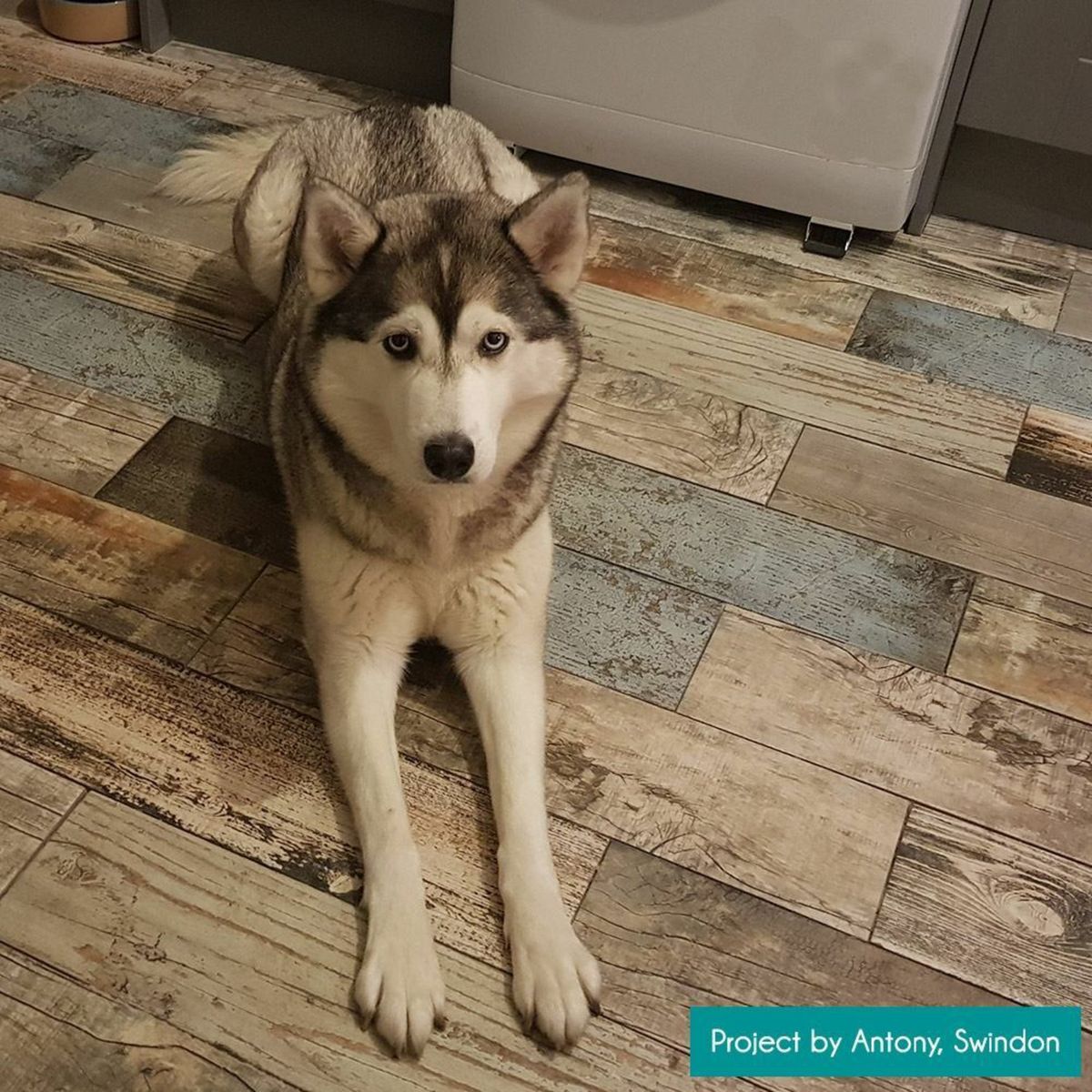 Sample - Vintage Blue Wood Effect Tile 15x60