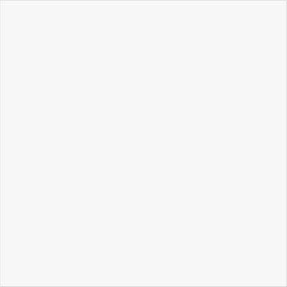 Snow White 800x800mm Tiles